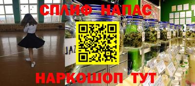 прущие крисы Будённовск