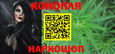 прущие крисы Будённовск