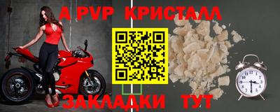 прущие крисы Будённовск