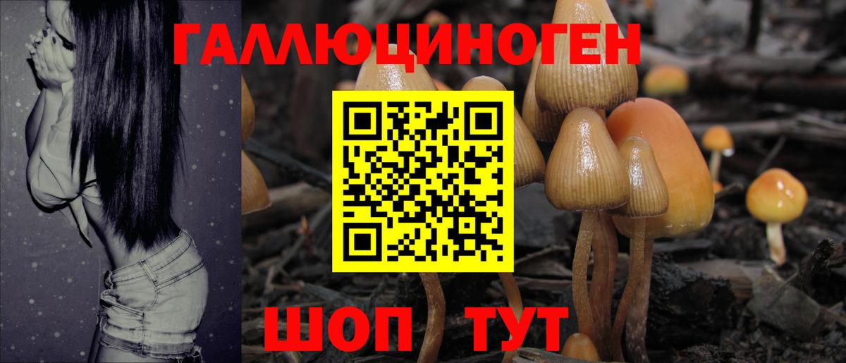 Псилоцибиновые грибы ЛСД Рузаевка