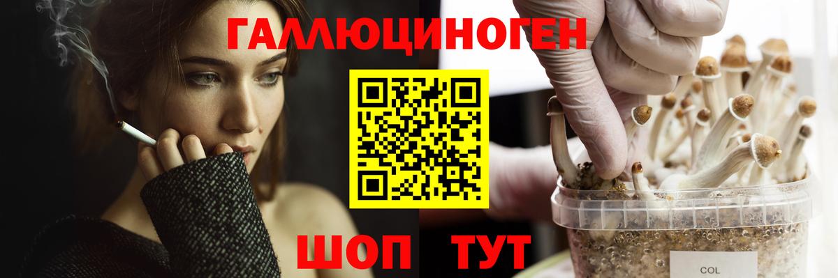 Галлюциногенные грибы Cubensis  Вход с VPN  Рузаевка 